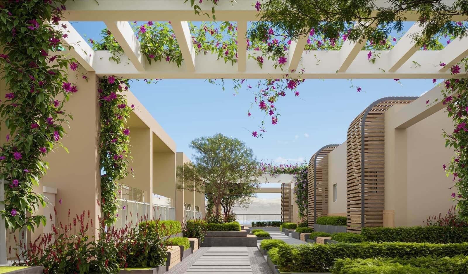 Garden pergola walk