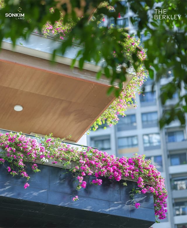 Sky gym & yoga deck
