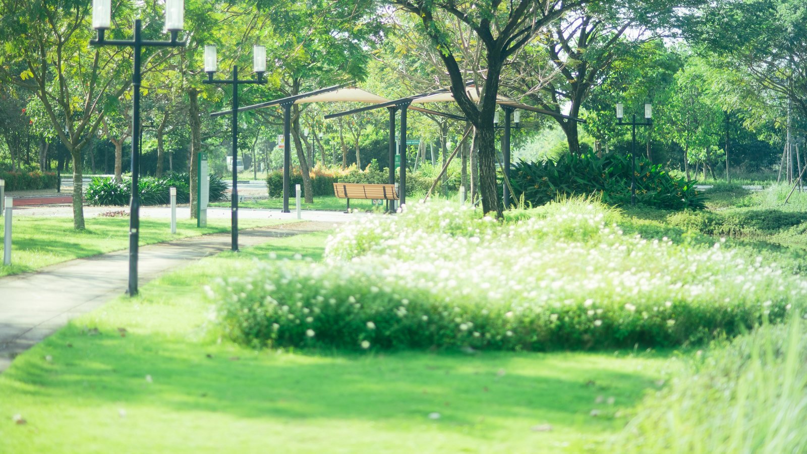 MIDORI PARK master plan